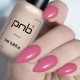 Гел лак PNB 8 мл 379